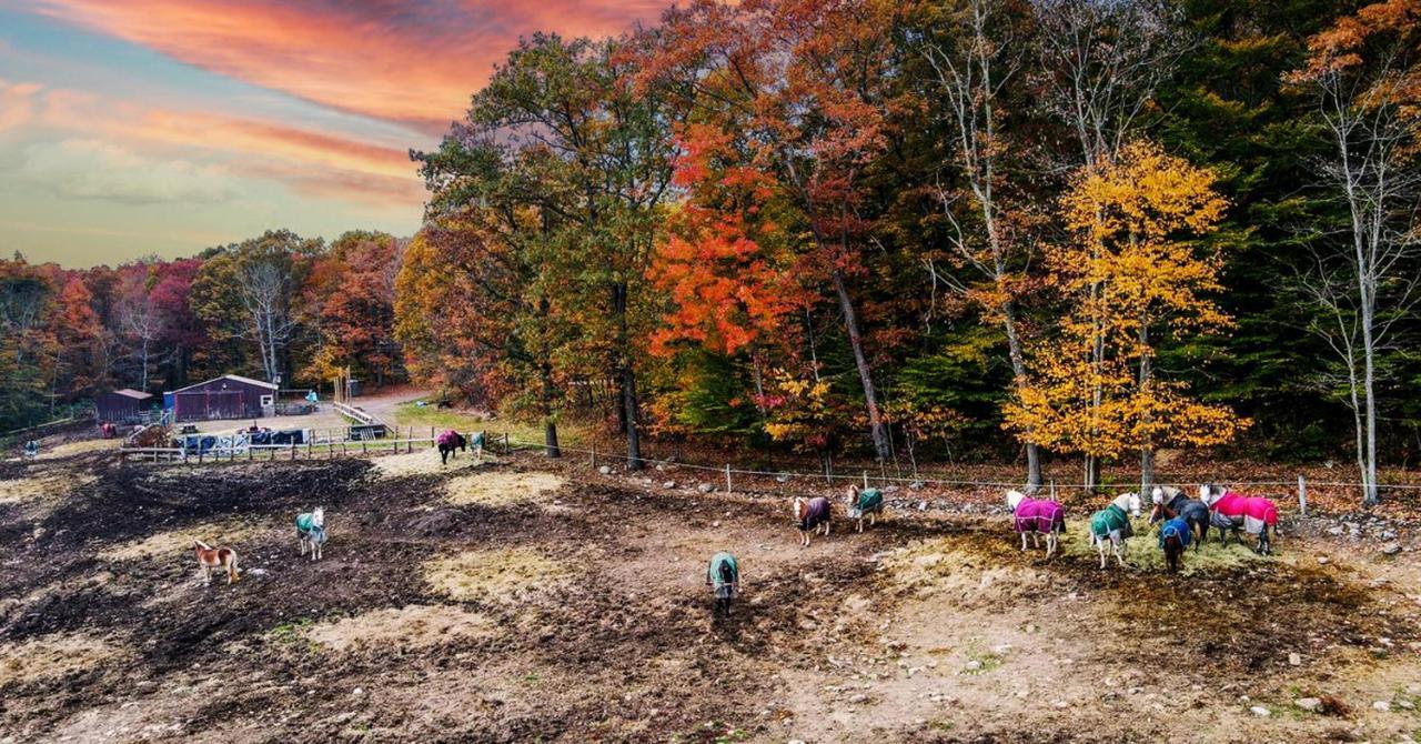 Mountain Laurel Resort White Haven Bagian luar foto